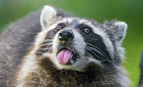 Greetings